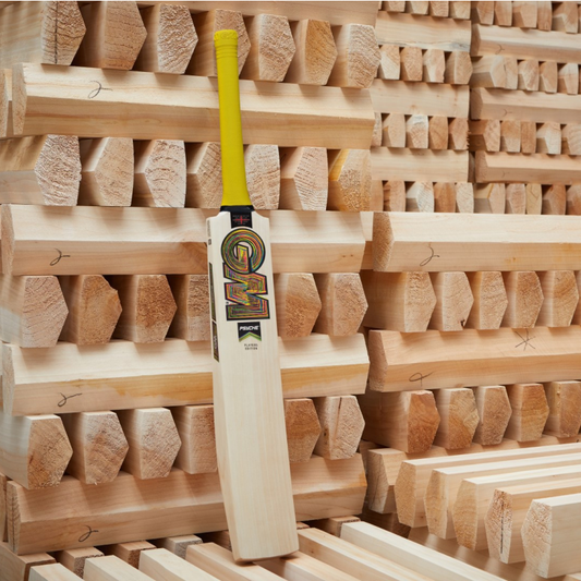 GM BEN DUCKETT PLAYER'S EDITION CRICKET BAT