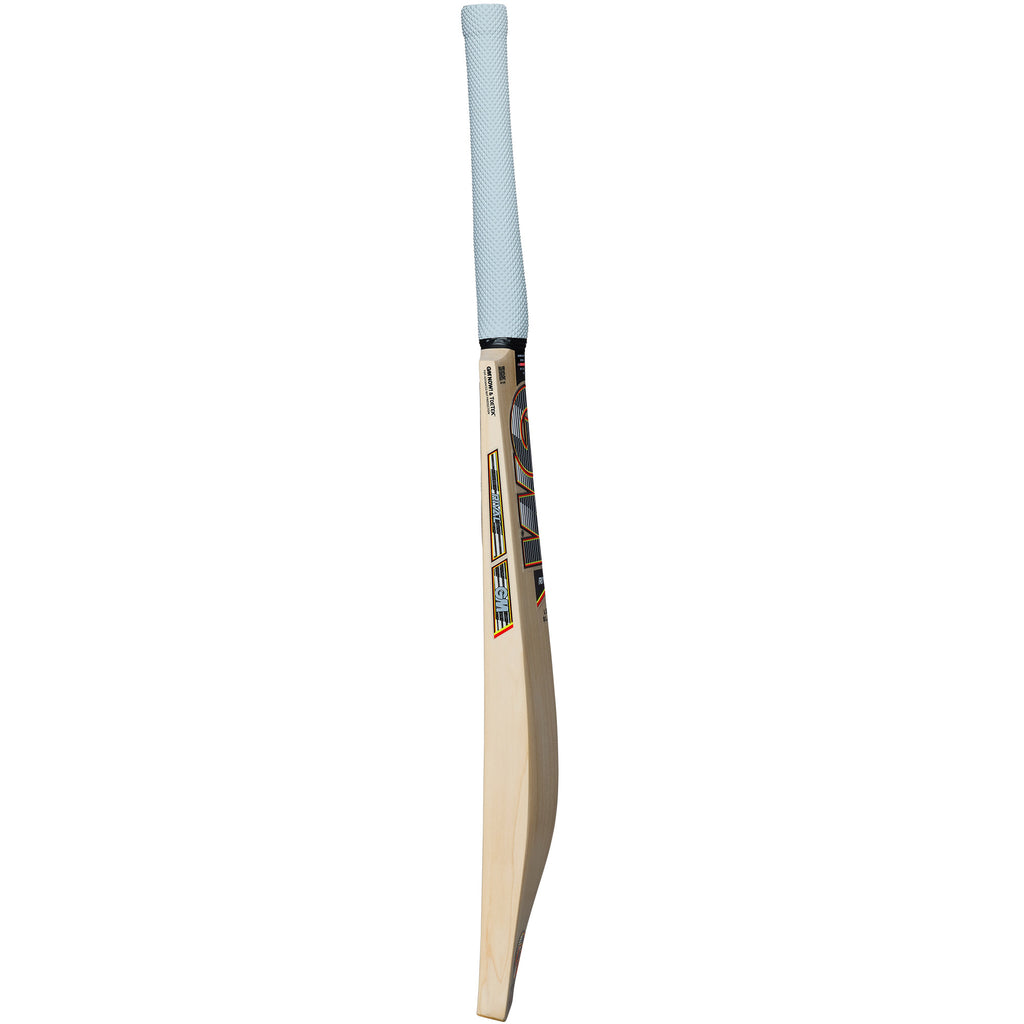 GM Rival Cricket Bat