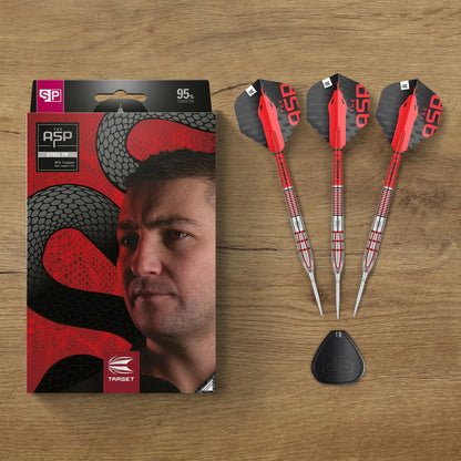 NATHAN ASPINALL G2 95% TUNGSTEN SP STEEL TIP DARTS BY TARGET